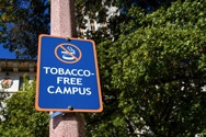 A blue sign with white lettering reads Tobbacco Free Campus.
