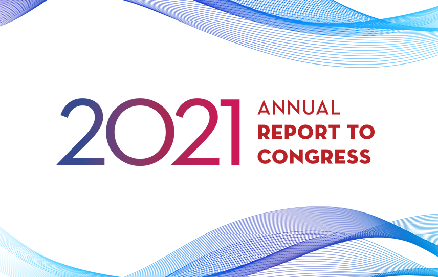 2021 Annual Report to Congress for tile image
